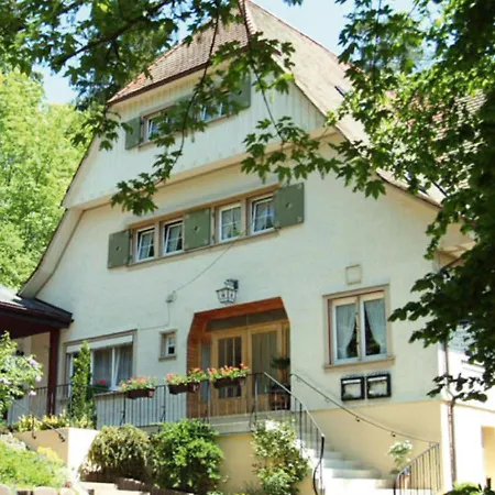 Jaegerhaus 도나우에싱겐