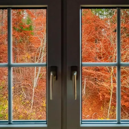 Penzion Jaegerhaus Donaueschingen