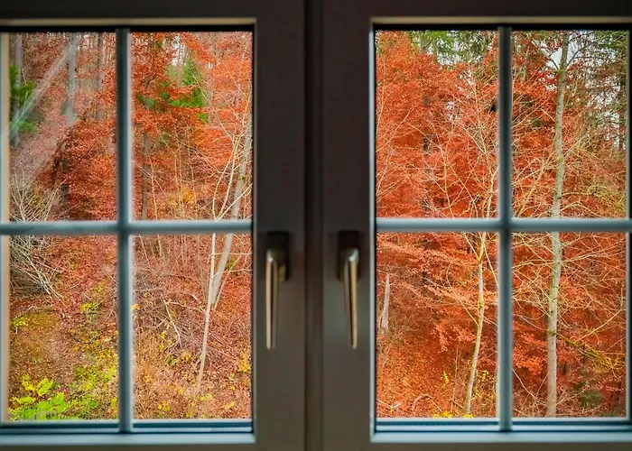 ゲストハウス Jaegerhaus ドナウエッシンゲン